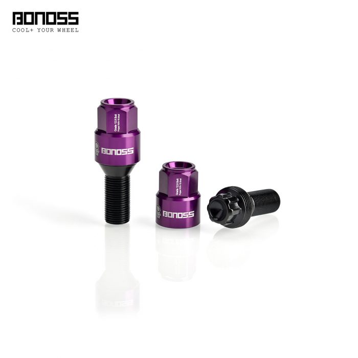 BONOSS forged grade 12.9 shell type lock bolt kit (nest hole)-purple-by lulu (4)
